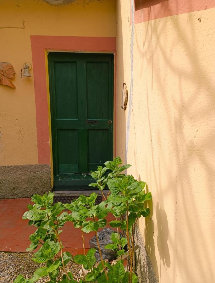 Villa Norina'S House Monterosso al Mare Exterior foto